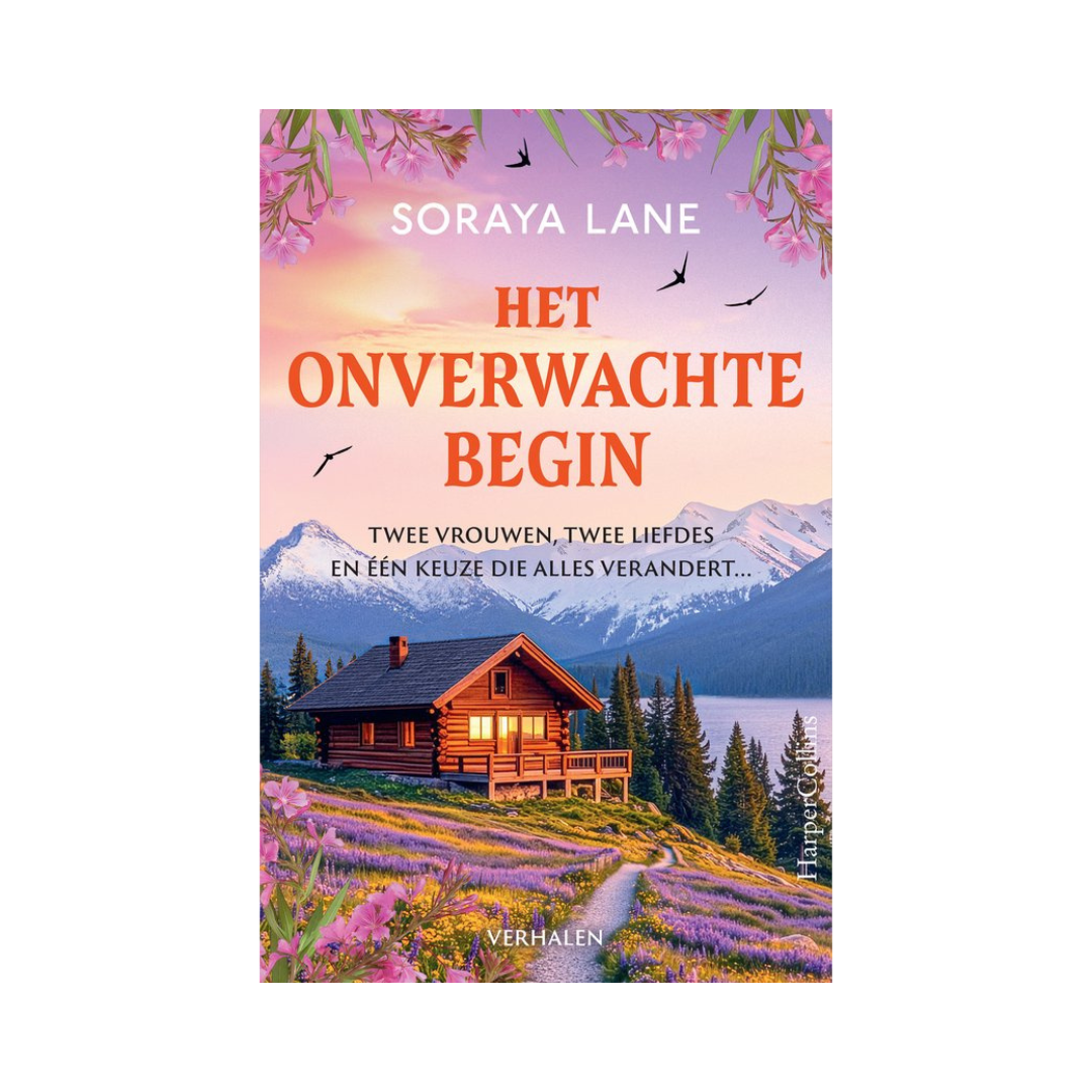 Boek Het onverwachte begin