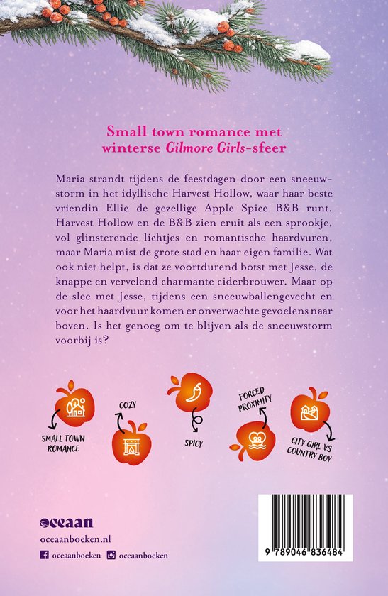 Boek Ingesneeuwd in de Apple Spice B&amp;B