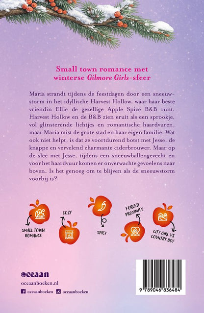 Boek Ingesneeuwd in de Apple Spice B&amp;B
